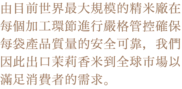 由目前世界最大規模的精米廠在每個加工環節進行嚴格管控確保每袋產品質量的安全可靠，我們因此出口茉莉香米到全球市場以滿足消費者的需求。