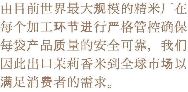 由目前世界最大规模的精米厂在每个加工环节进行严格管控确保每袋产品质量的安全可靠，我们因此出口茉莉香米到全球市场以满足消费者的需求。