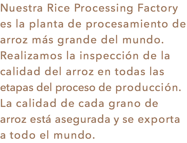 Nuestra Rice Processing Factory es la planta de procesamiento de arroz más grande del mundo. Realizamos la inspección de la calidad del arroz en todas las etapas del proceso de producción. La calidad de cada grano de arroz está asegurada y se exporta a todo el mundo.