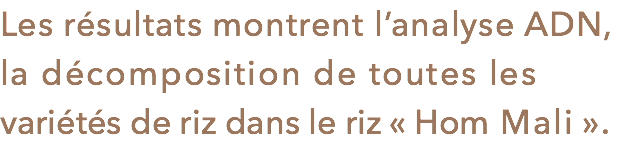 Les résultats montrent l’analyse ADN, la décomposition de toutes les variétés de riz dans le riz « Hom Mali ».