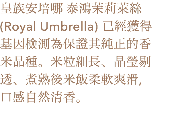 皇族安培哪 泰鴻茉莉萊絲(Royal Umbrella) 已經獲得
基因檢測為保證其純正的香
米品種。米粒細長、晶瑩剔透、煮熟後米飯柔軟爽滑,
口感自然清香。